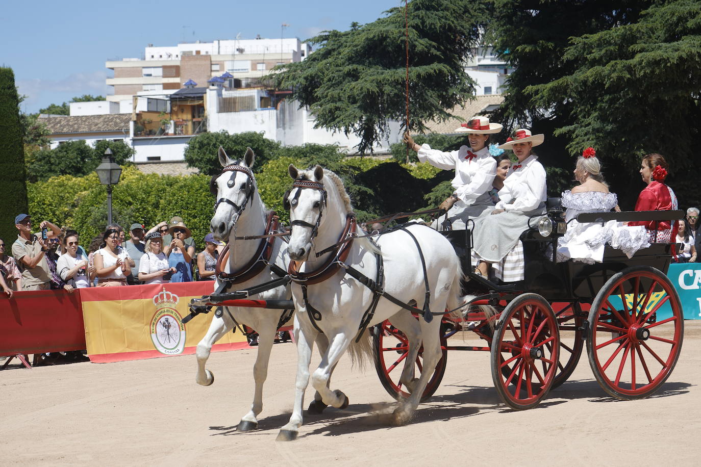 Fotos: la bella exhibición de carruajes de tradición en la Feria de Córdoba