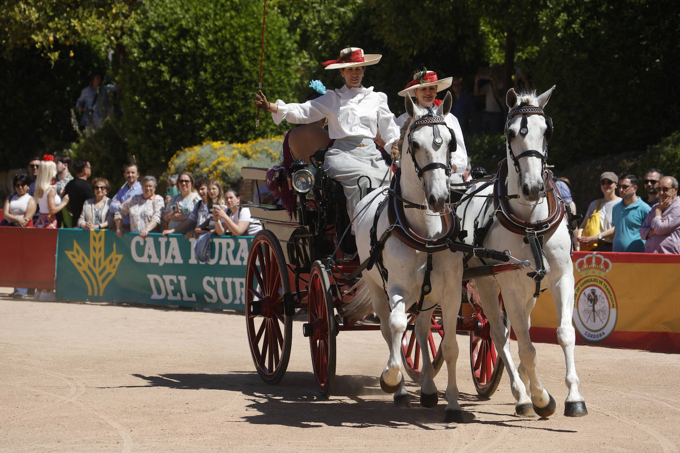 Fotos: la bella exhibición de carruajes de tradición en la Feria de Córdoba
