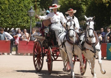 La bella exhibición de carruajes de tradición en la Feria