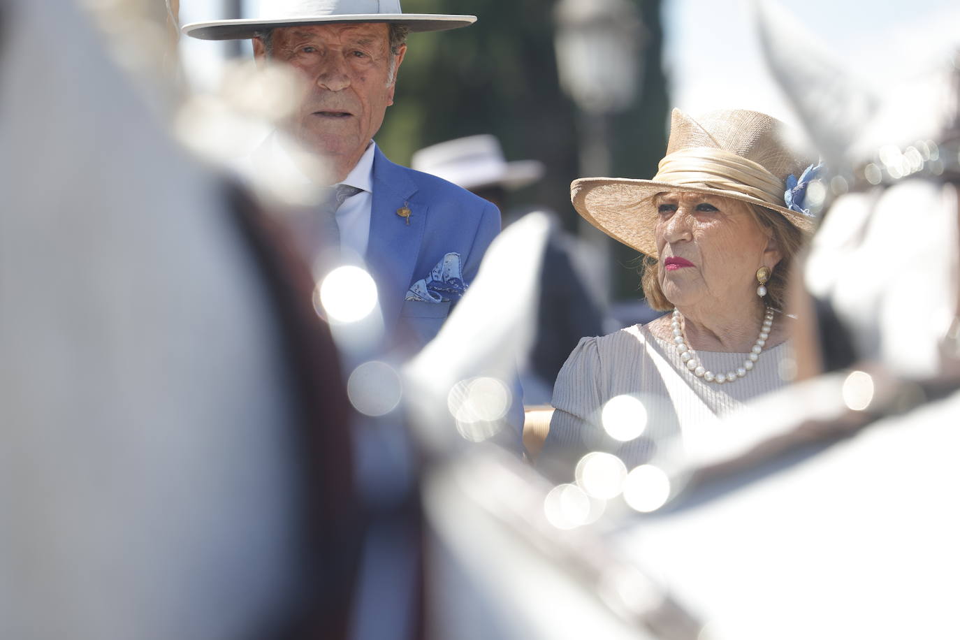 Fotos: la bella exhibición de carruajes de tradición en la Feria de Córdoba