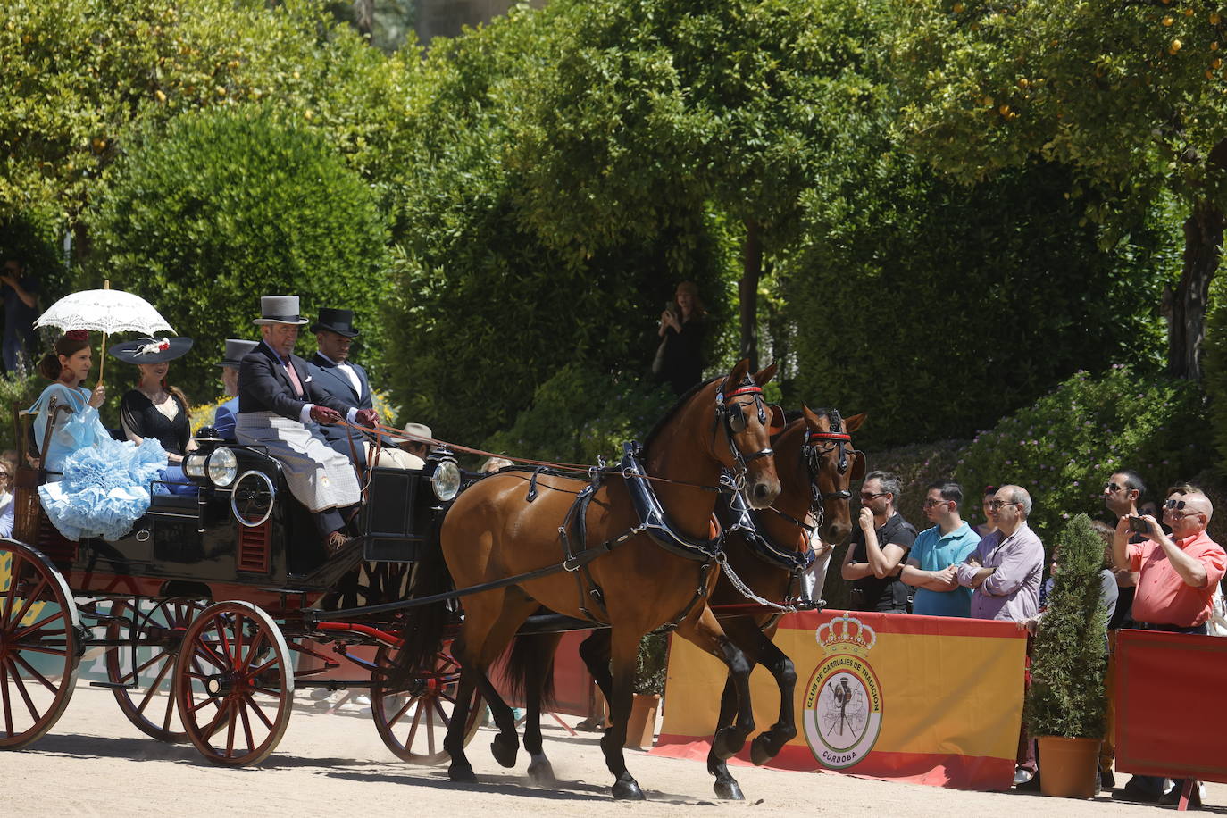 Fotos: la bella exhibición de carruajes de tradición en la Feria de Córdoba