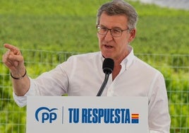 Feijóo culpa a Sánchez de «criminalizar al campo» e insultarlo con la elección de Ribera como candidata