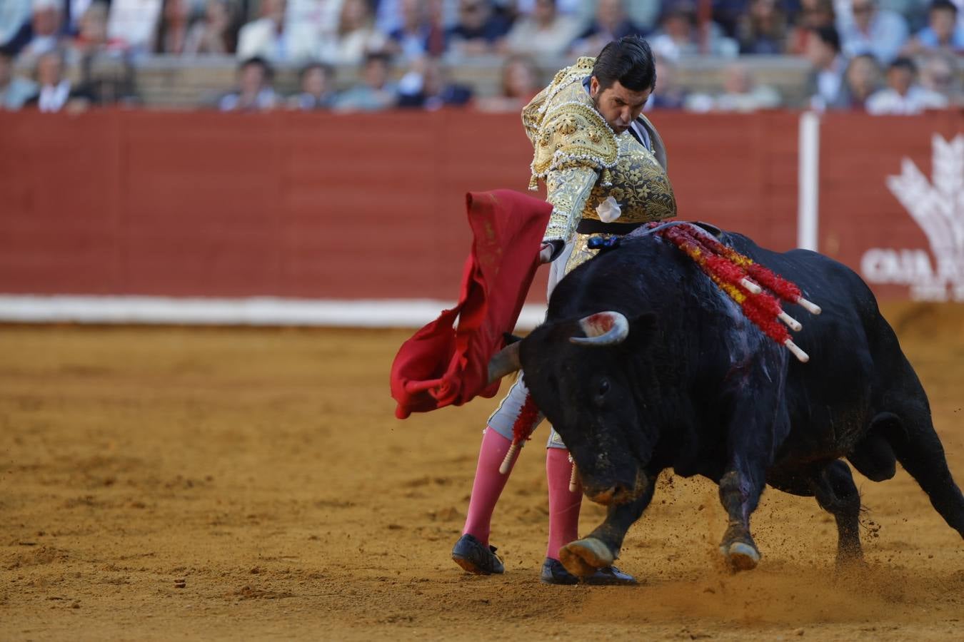 Fotos: el rotundo triunfo de Roca Rey en la última corrida de la Feria de Córdoba