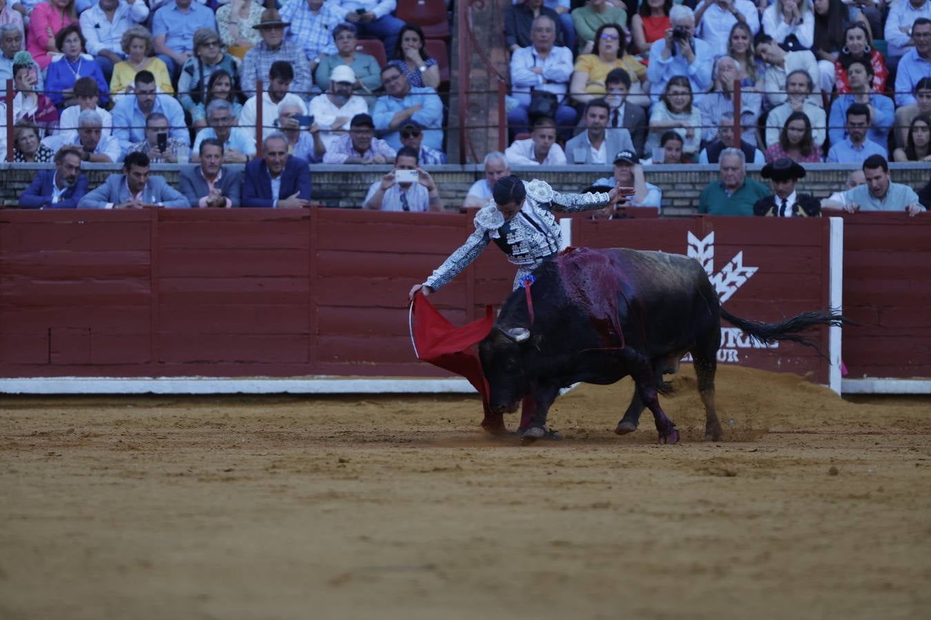 Fotos: el rotundo triunfo de Roca Rey en la última corrida de la Feria de Córdoba