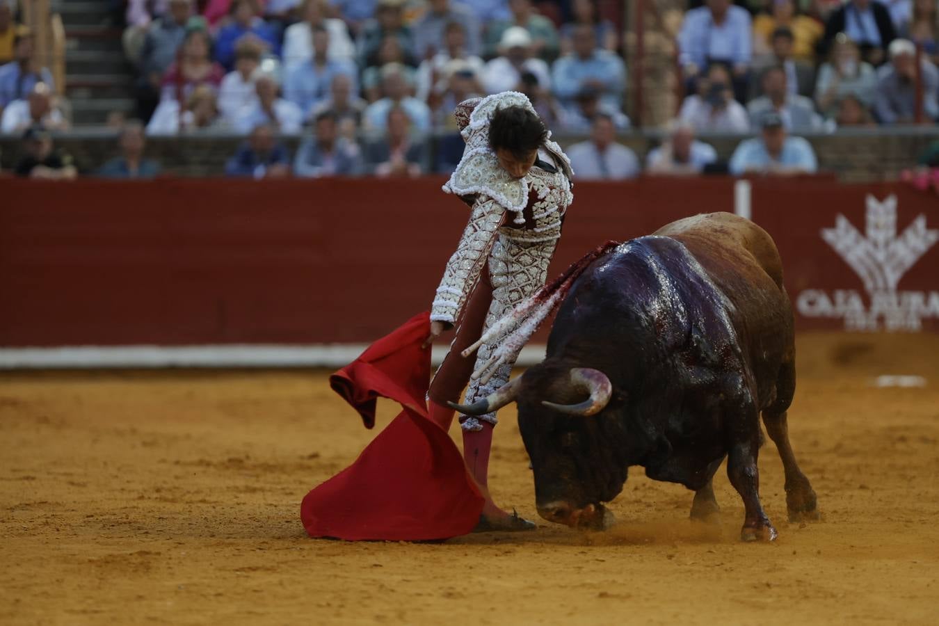 Fotos: el rotundo triunfo de Roca Rey en la última corrida de la Feria de Córdoba