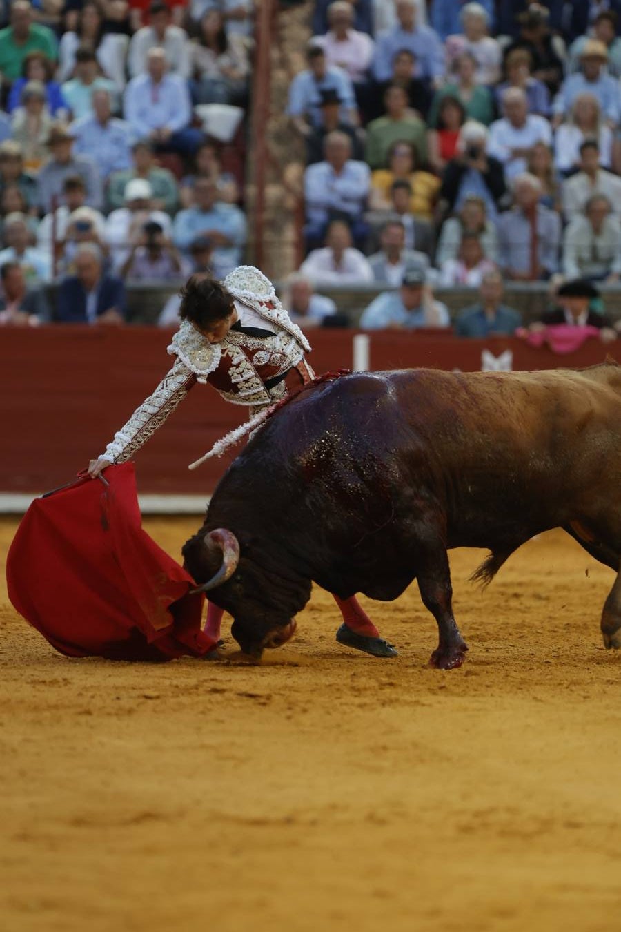 Fotos: el rotundo triunfo de Roca Rey en la última corrida de la Feria de Córdoba