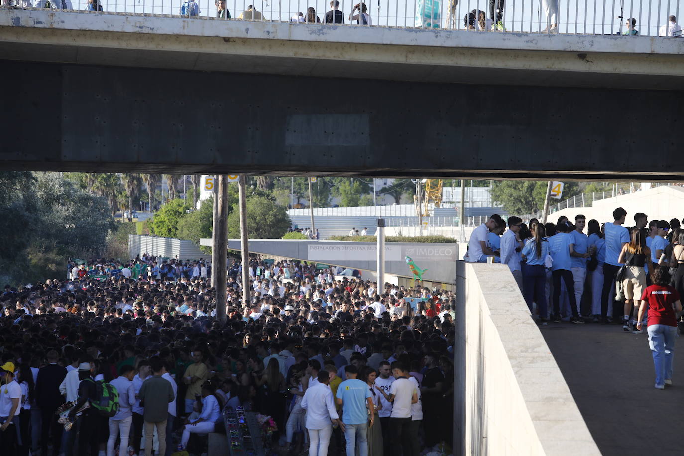 Fotos: diez mil jóvenes, en el botellón de la Feria de Córdoba