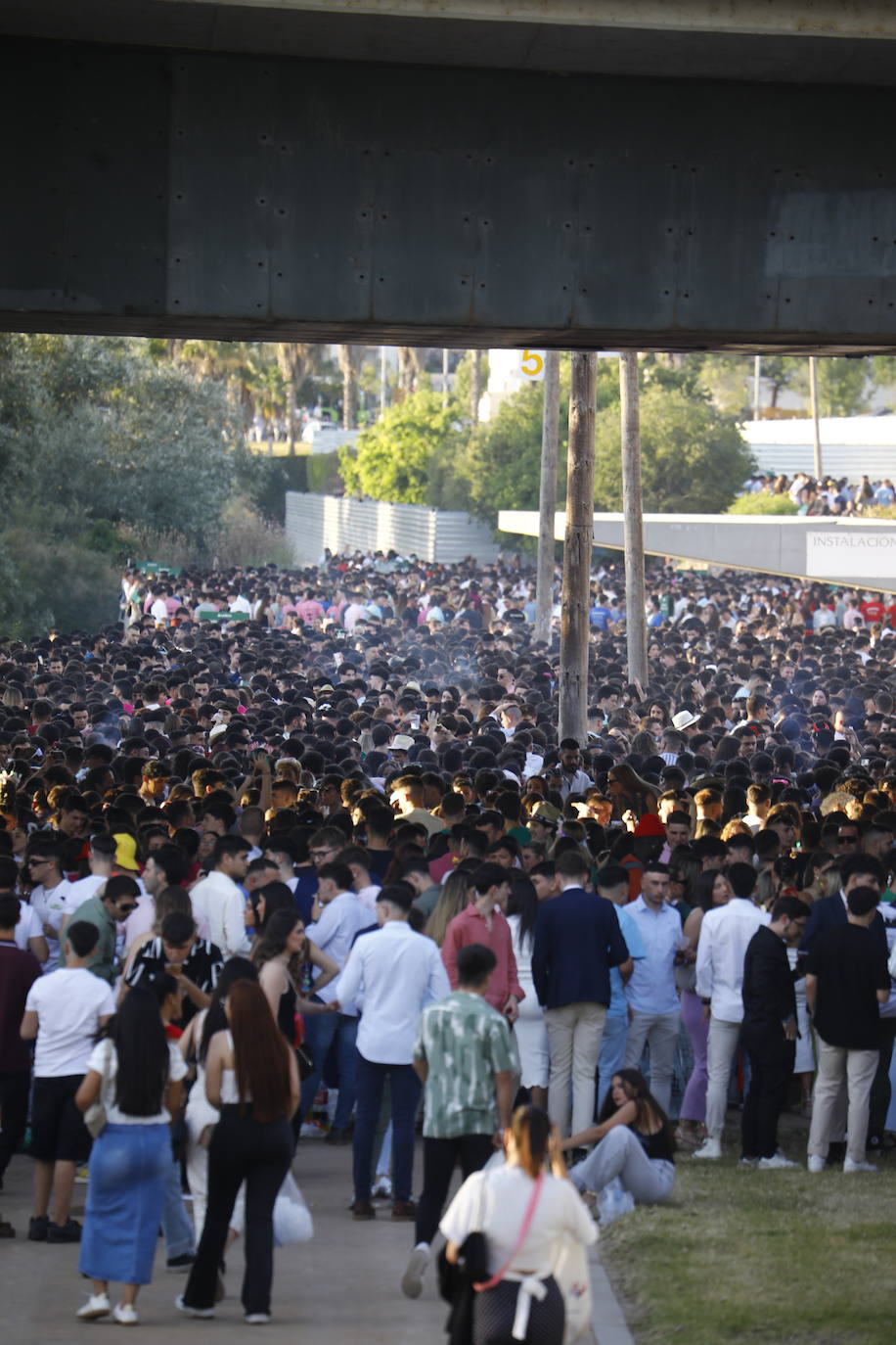 Fotos: diez mil jóvenes, en el botellón de la Feria de Córdoba