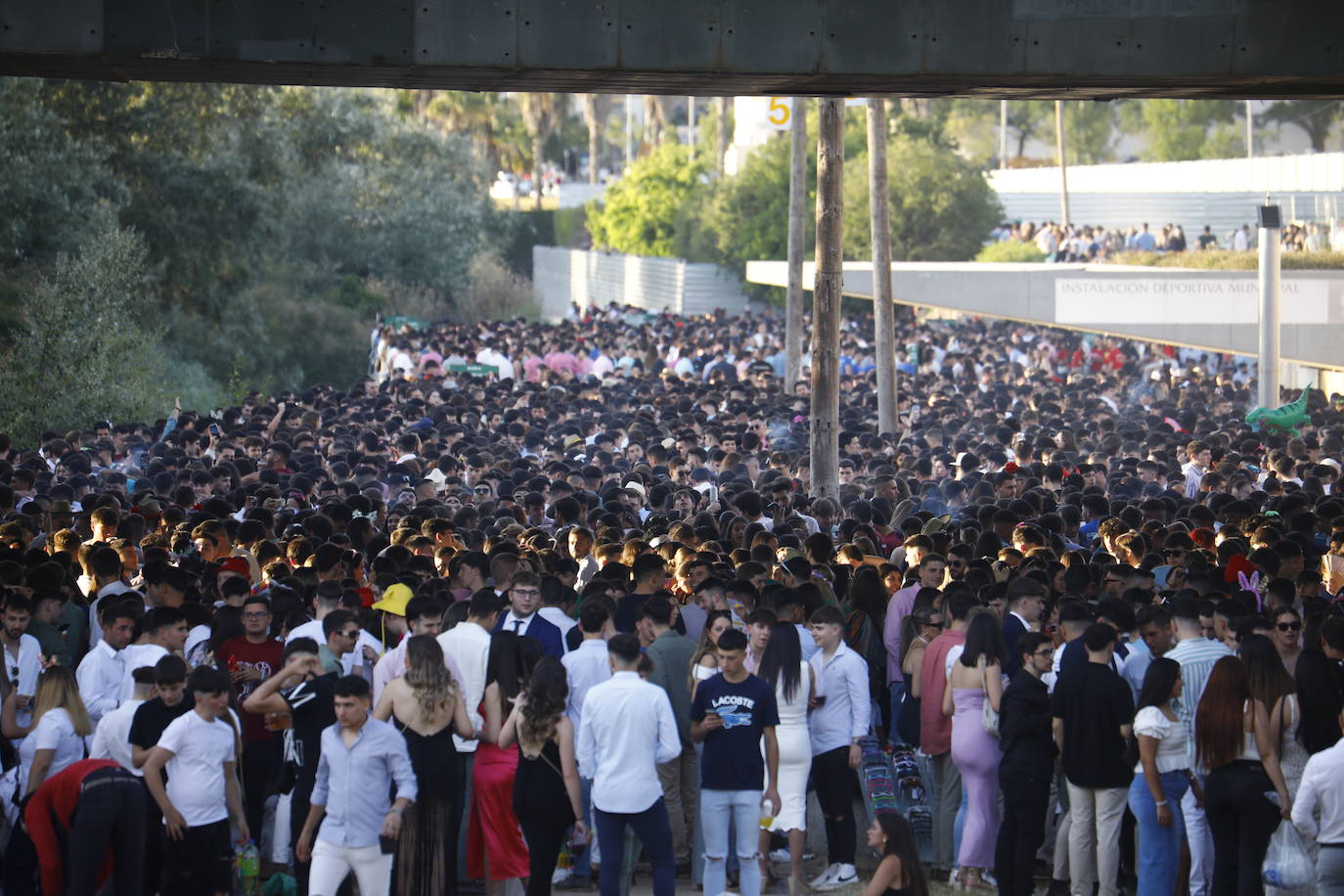 Fotos: diez mil jóvenes, en el botellón de la Feria de Córdoba