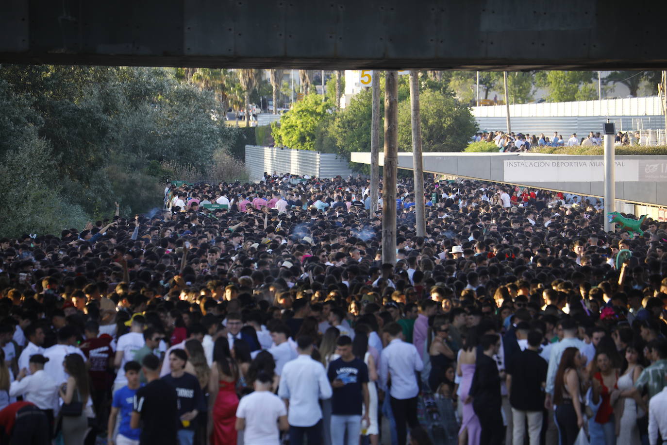 Fotos: diez mil jóvenes, en el botellón de la Feria de Córdoba