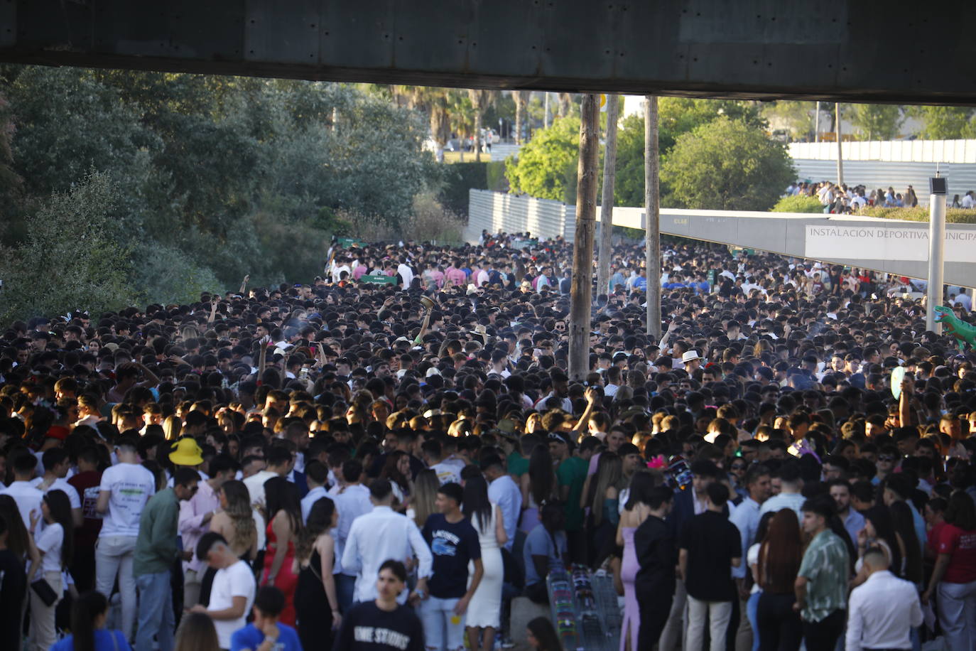 Fotos: diez mil jóvenes, en el botellón de la Feria de Córdoba