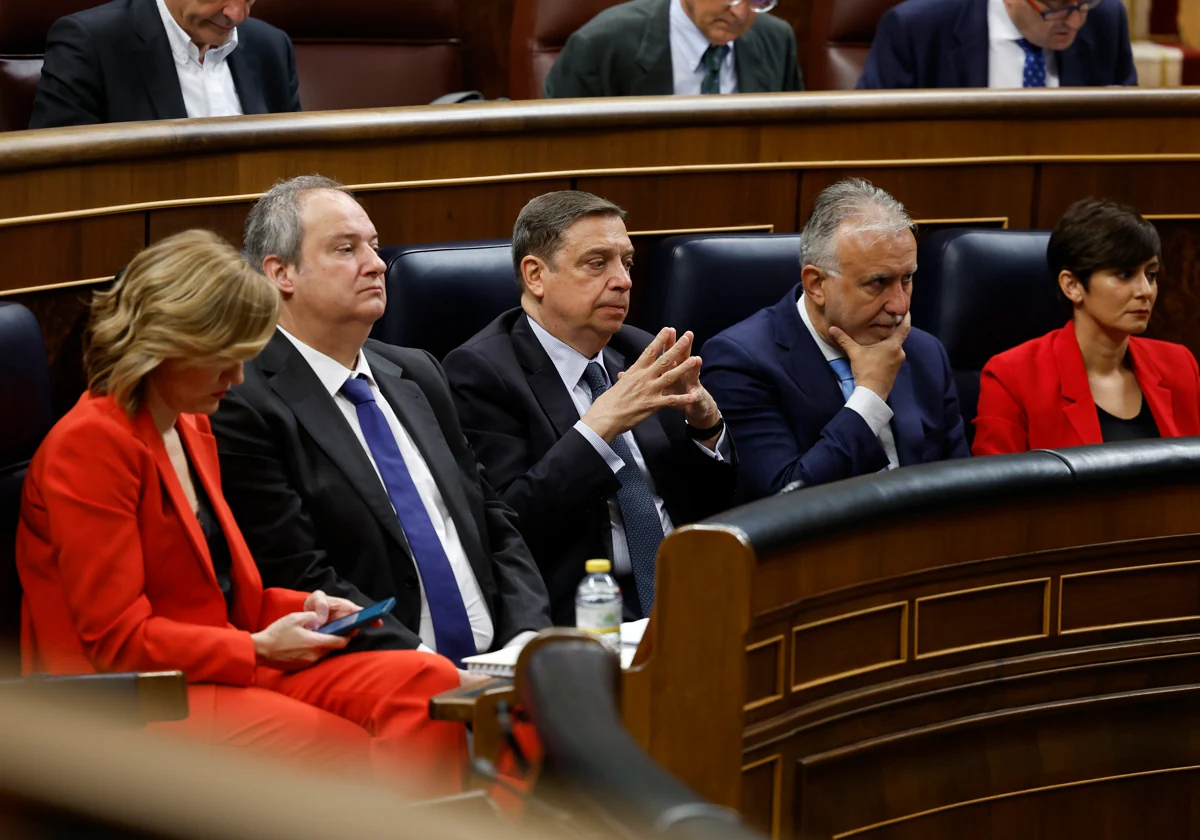 Ángel Víctor Torres, cuarto por la izquierda, durante el debate de este miércoles en el Congreso de los Diputados