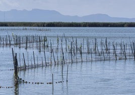 Los veinte nobeles del jurado de los Jaume I se unirán en un acto en defensa de la Albufera de Valencia