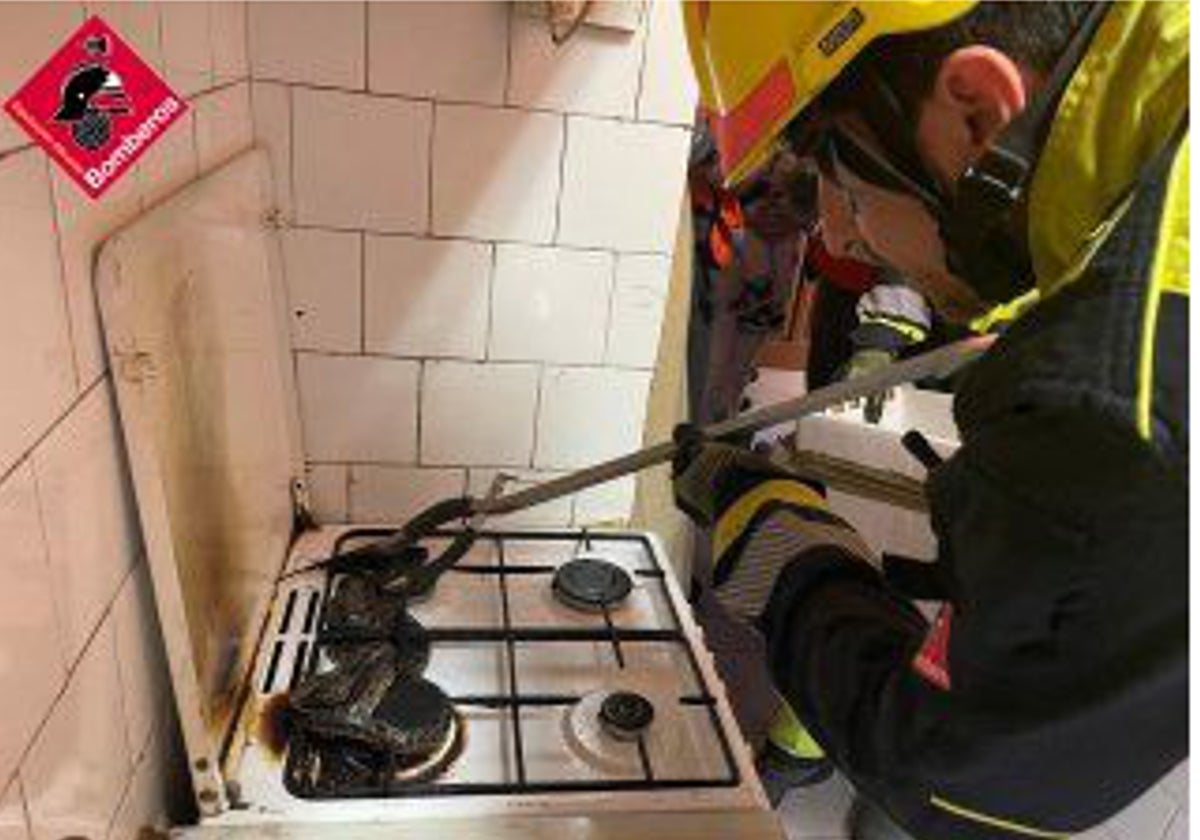 Una serpiente repta por un tubo extractor y cae encima de los fogones de una cocina: «Si pasa acudimos rápidamente»