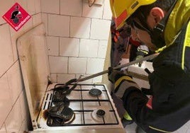 Una serpiente repta por un tubo extractor y cae encima de los fogones de una cocina: «Si pasa acudimos rápidamente»