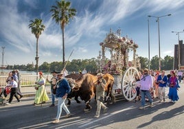 Llegada a Sevilla de la hermandad del Rocío de Sevilla Sur, en imágenes