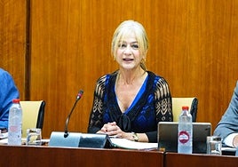 Las pruebas de Evaluación de Diagnóstico de Primaria y ESO de Andalucía han «salido bien» pese al «burdo intento de boicot»