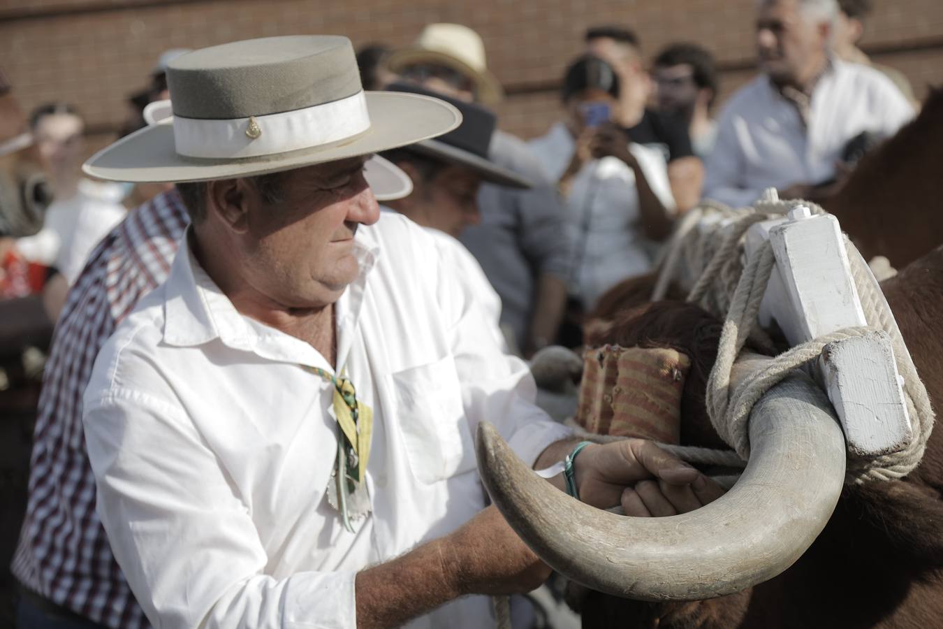 La primera parada de la hermandad de la Macarena cuando entra en Sevilla es en la Basílica del Cachorro
