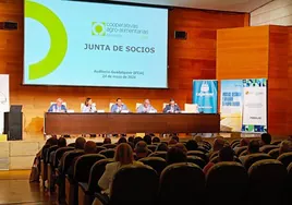 Las cooperativas agroalimentarias de Jaén facturaron 950 millones de euros en 2023, un 22% menos por la sequía