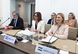 Andalucía cuestiona el plan estatal para controlar pisos turísticos y vincula su aumento al «fracaso» de la Ley de Vivienda