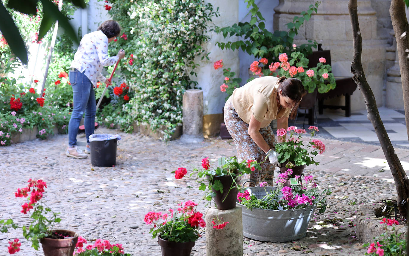 Fotos: la vida contemplativa en el convento de Santa Marta, el más antiguo de Córdoba