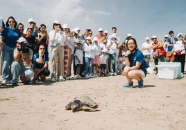Devuelven al mar en Valencia a una tortuga pescada por accidente tras su recuperación