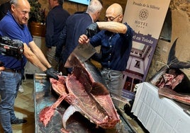 Un ronqueo de atún rojo de almadraba, en vivo y en directo en un restaurante de Toledo