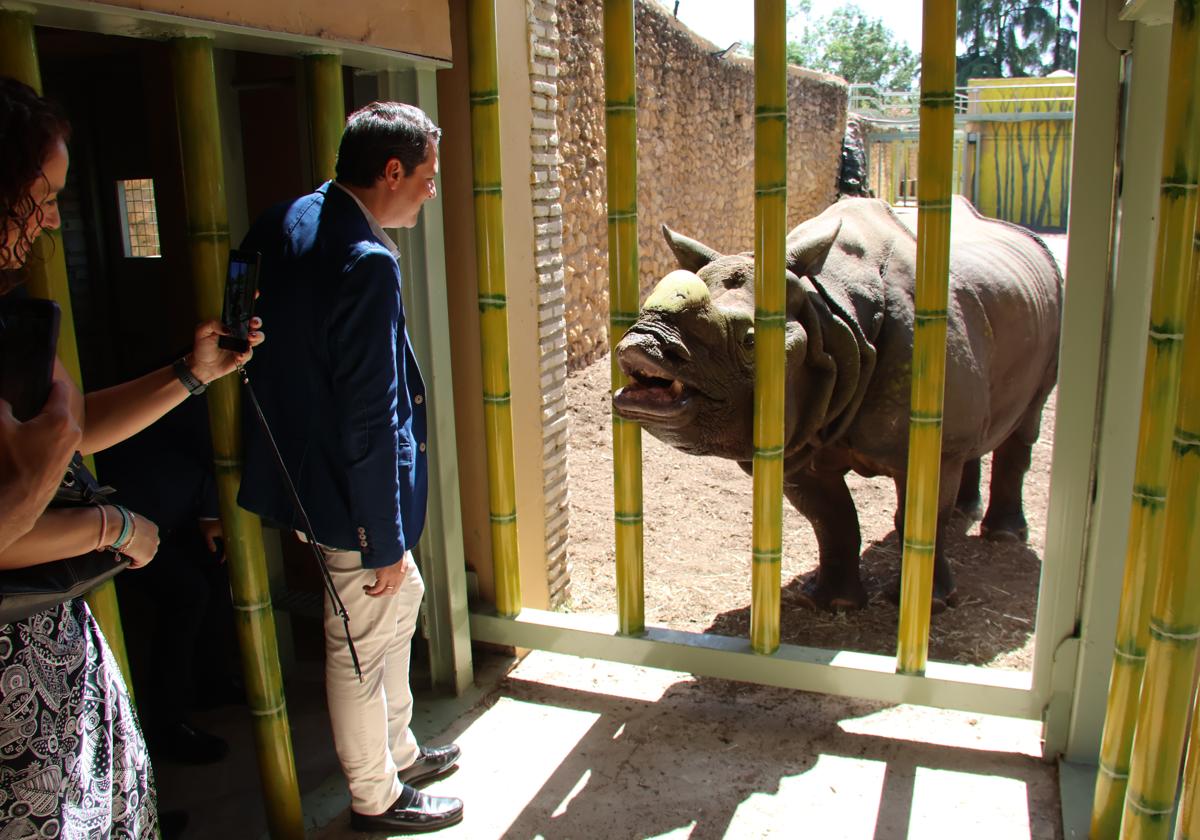 Así es el rinoceronte indio que es la nueva estrella del Zoo de Córdoba