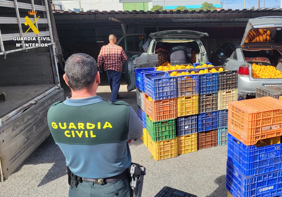 Imagen de agentes de la Guardia Civil con un cargamento de naranjas recuperadas en Valencia