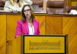 La Junta de Andalucía exige al Gobierno que agilice los corredores ferroviarios