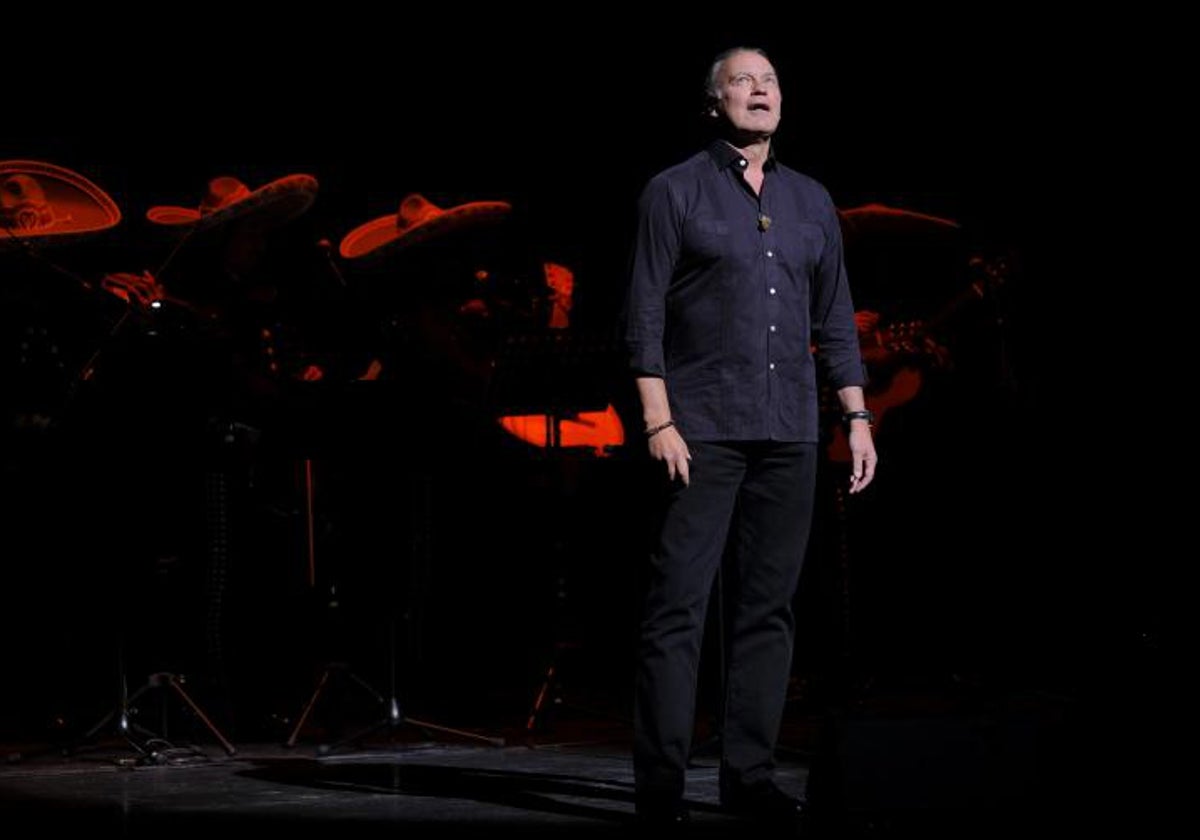 Bertín Osborne, durante un concierto.