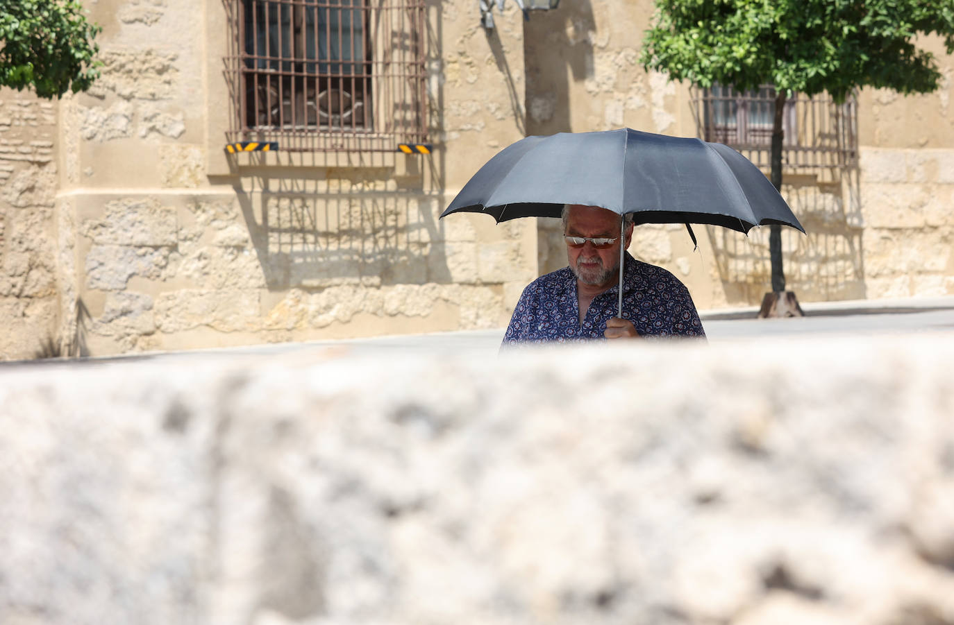 Fotos: Córdoba roza los 40 grados por segunda vez en 2024