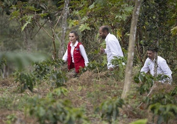 La Reina visibilizará en Guatemala la lucha contra la desnutrición infantil y la violencia de género