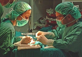 Aumentan las donaciones de órganos en Andalucía, que registra 212 en los primeros cinco meses del año