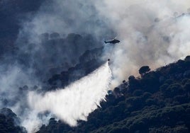 Cuatro investigados por una «negligencia» en unos trabajos forestales que causó el incendio de Tarifa