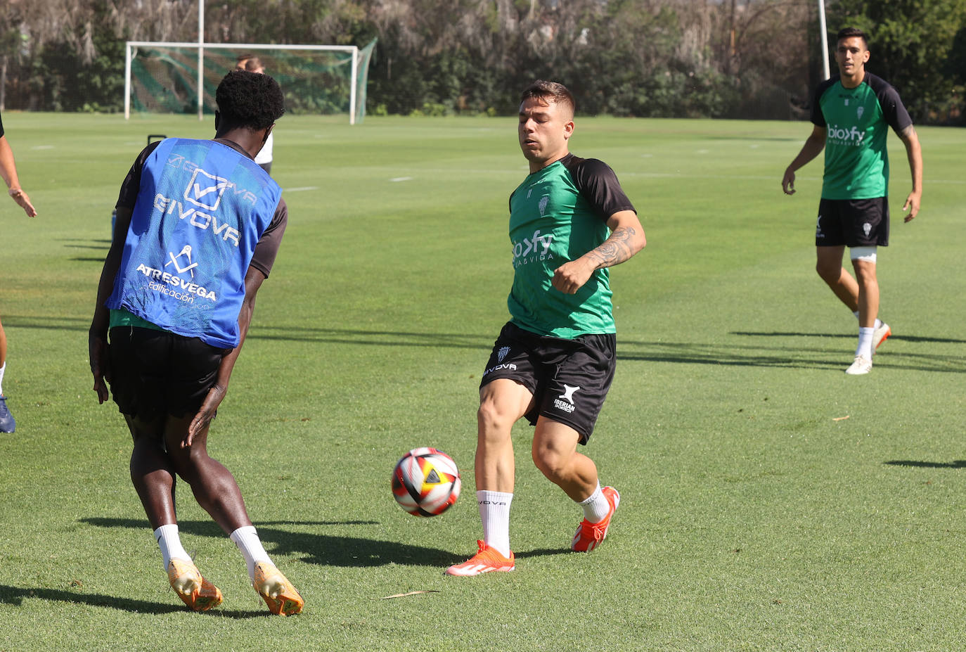 Fotos: el Córdoba CF prepara uno de los partidos de la temporada