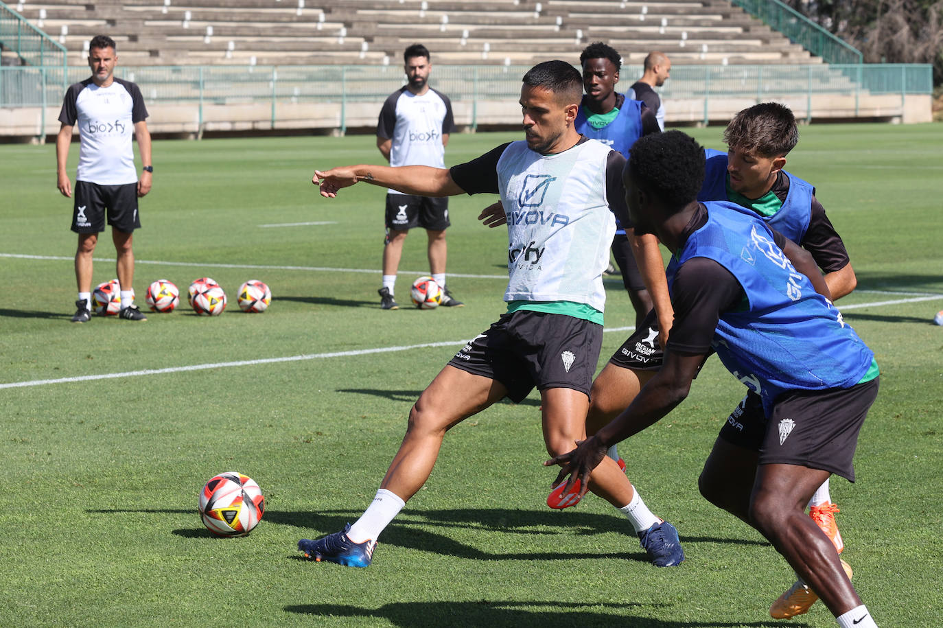 Fotos: el Córdoba CF prepara uno de los partidos de la temporada