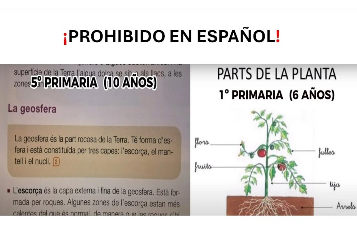 Ilustración difundida por Hablamos Español con algunos contenidos elementales de la asignatura troncal Conocimiento del Medio impartida en valenciano en la Comunidad Valenciana.