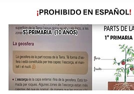 «Prohibido en español»: la asignatura clave para la inmersión lingüística que los nacionalistas no quieren que los escolares aprendan en castellano