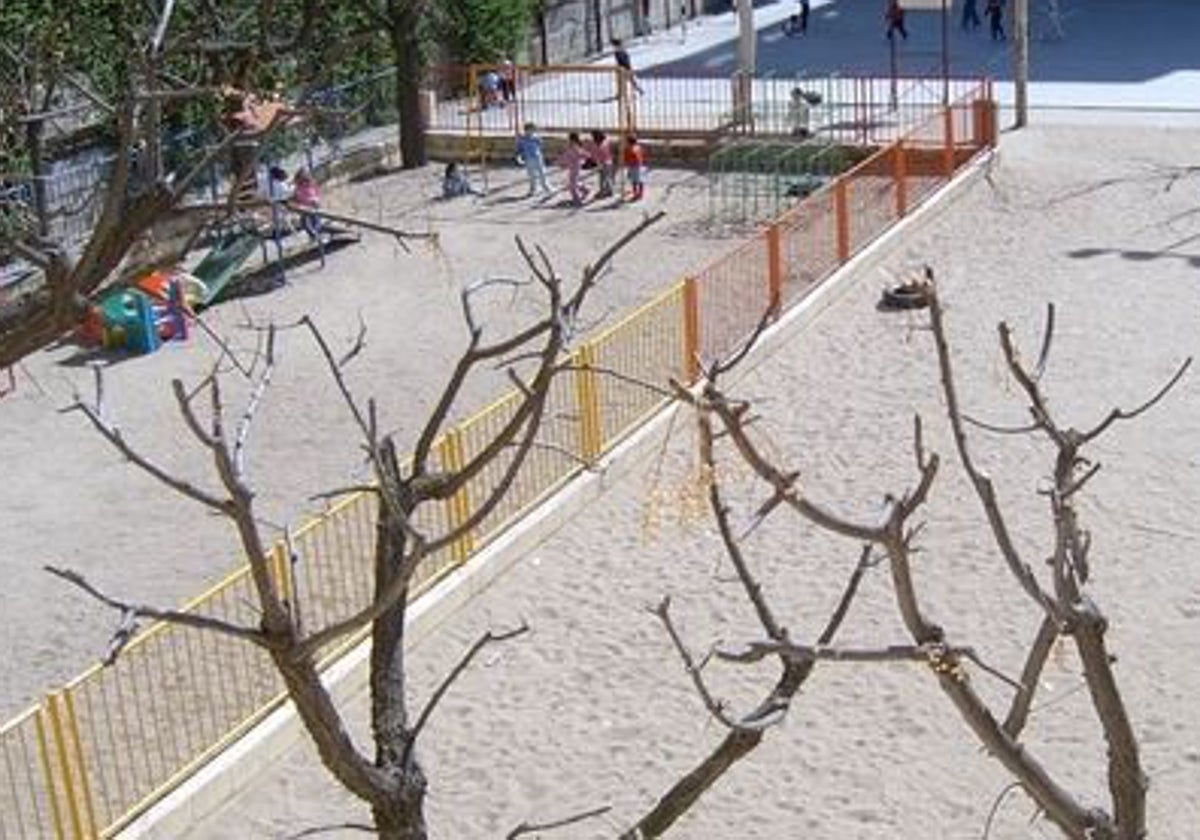 Alumnos y profesores han permanecido en el patio del colegio durante 45 minutos