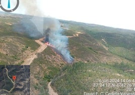 Declarado un incendio forestal en Valverde del Camino