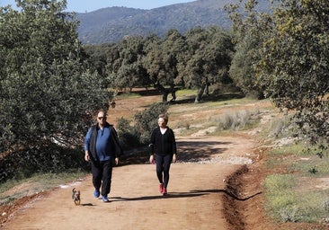 ¿Cuáles han sido los 26 proyectos que finalmente sí han financiado los fondos Edusi en Córdoba?