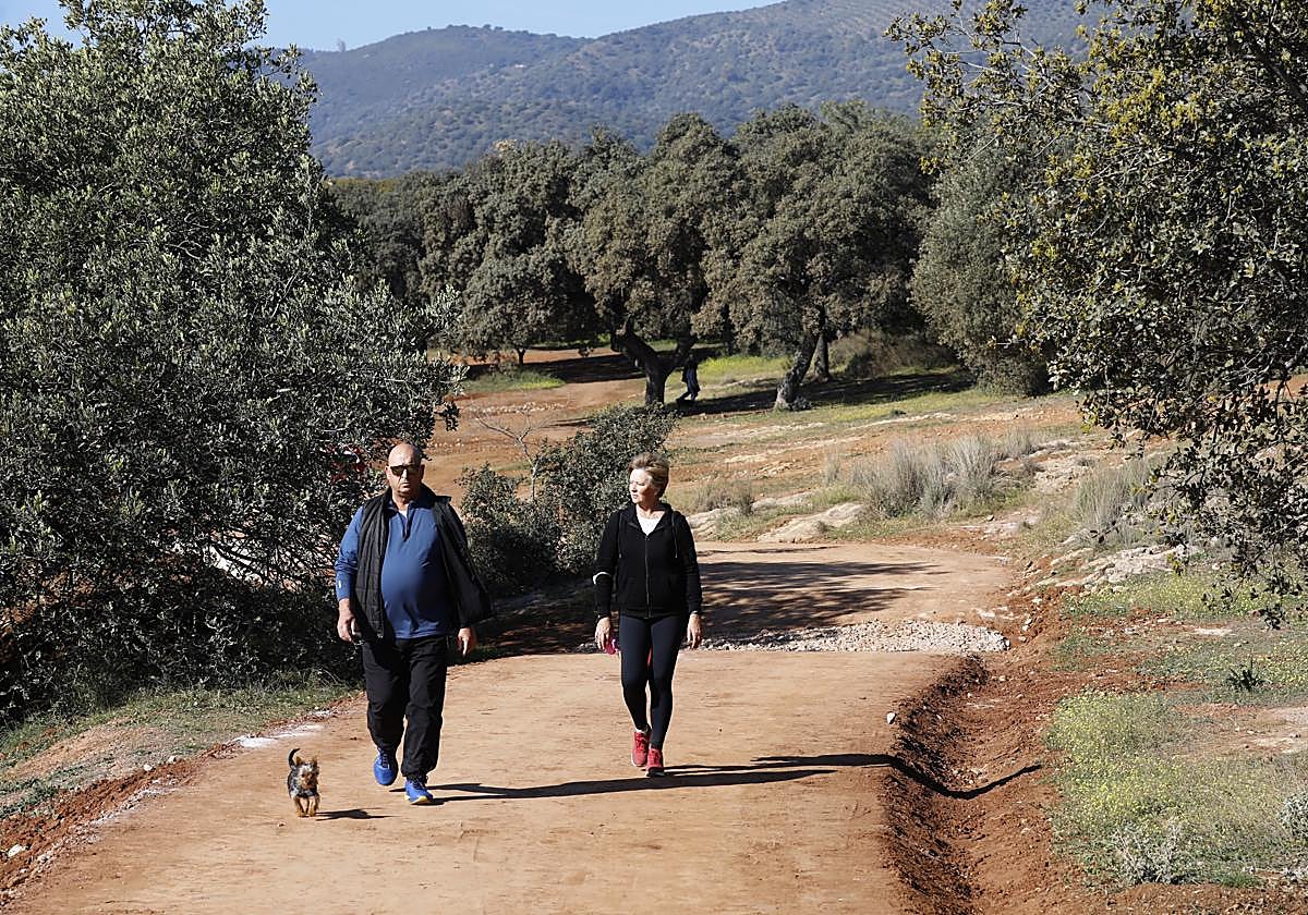 El parque del Patriarca ha sido uno de los que ha recibido financiación del Edusi