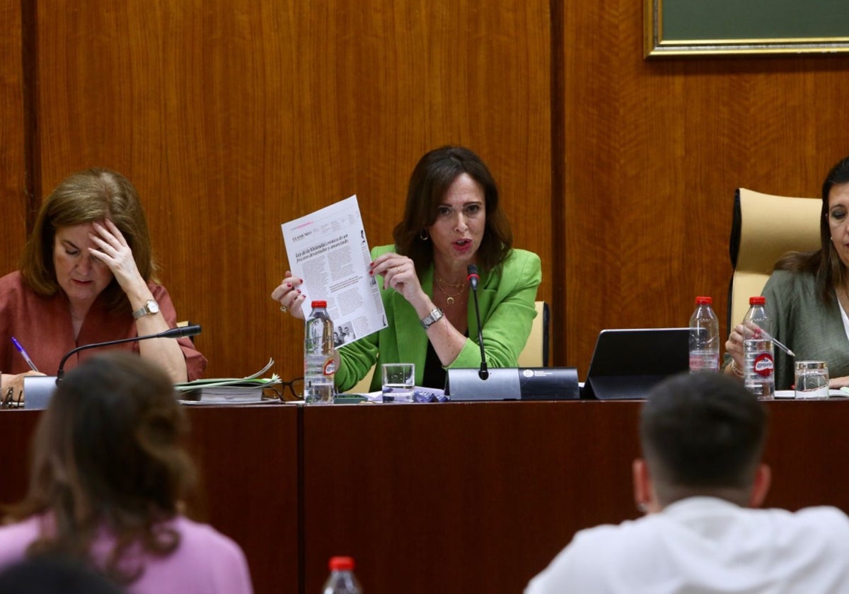 La consejera de Fomento, Rocío Díaz, en la comisión del Parlamento de Andalucía