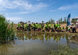 La Fundación Bioparc desarrolla con éxito una campaña de conservación y reintroducción de gallipatos