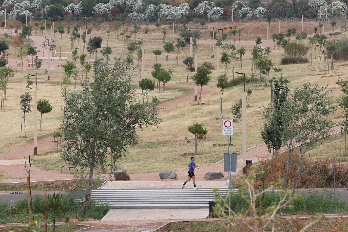 Fotos: el parque de Levante de Córdoba tras su conclusión