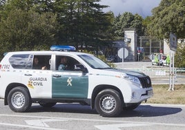 Detenido un hombre por cultivar 450 plantas de marihuana 'in door' en su casa de Torrelodones