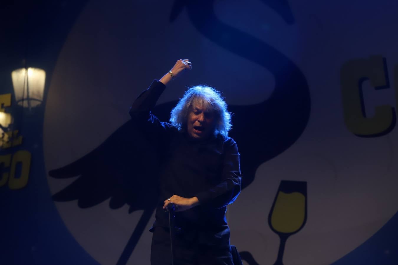 Fotos: la emoción de José Mercé para abrir la Noche Blanca del Flamenco en Córdoba