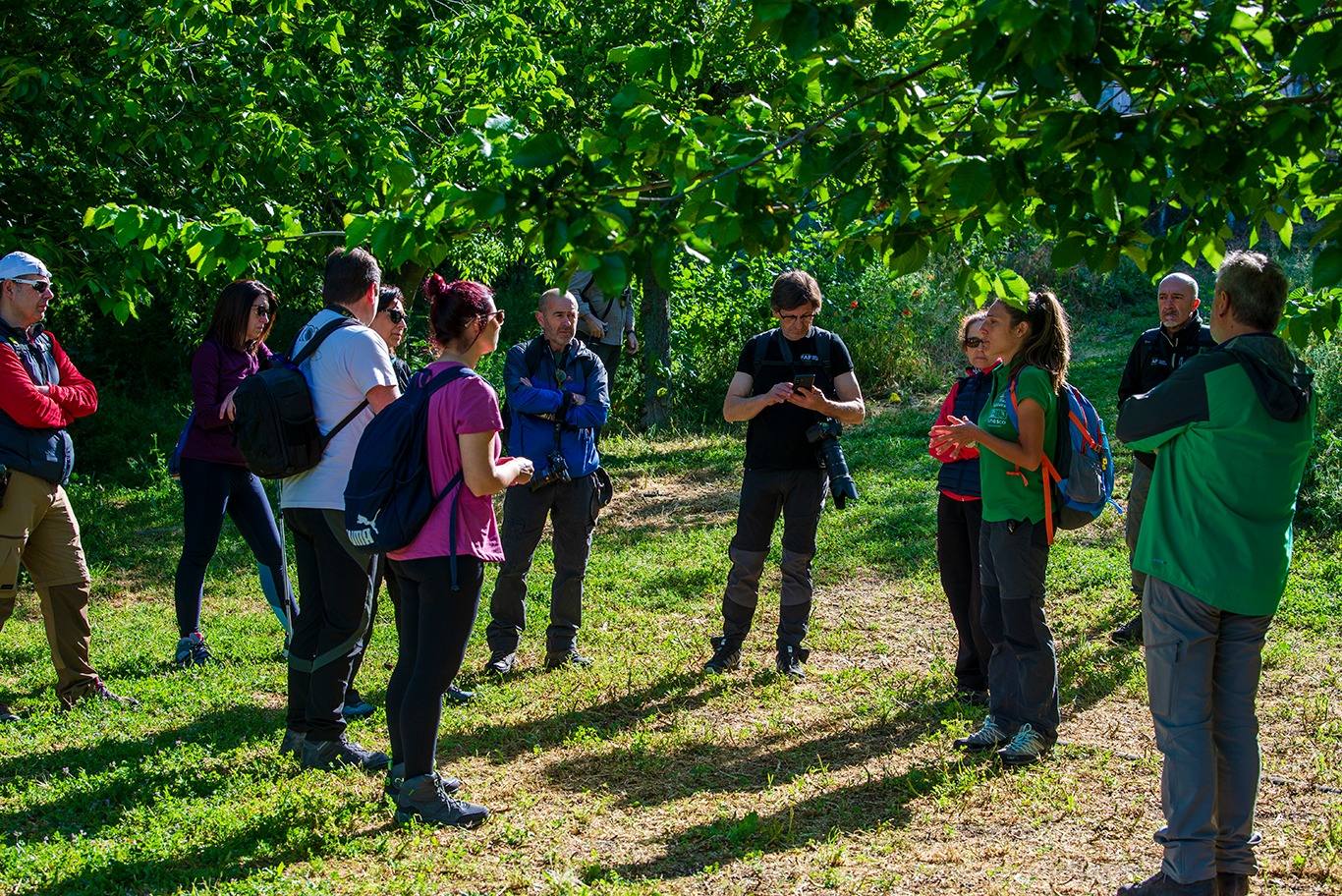 Las mejores imágenes del mágico Geoparque de las Sierras Subbéticas de Córdoba