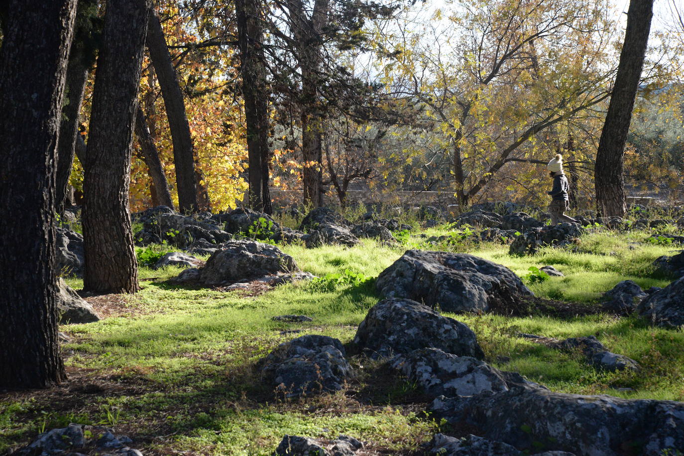 Las mejores imágenes del mágico Geoparque de las Sierras Subbéticas de Córdoba